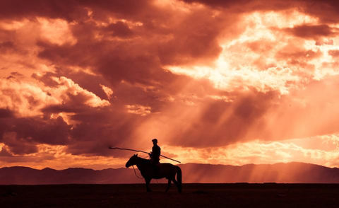Solitary Mongolian horseman silhouette on horseback
