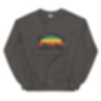 Thumbnail: HCCV Unisex Sweatshirt