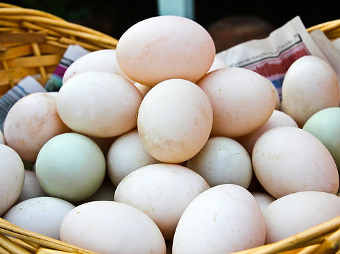duckeggs.jpg