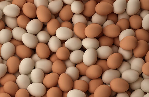 chickeneggs.jpg
