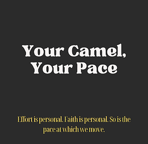 BT 9 Your Camel Your Pace.png