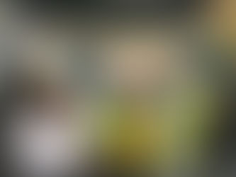 Dropping Our Son at University: Thoughts from a Mum, Teacher, and Executive Function Coach.