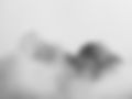 8540_edited.jpg