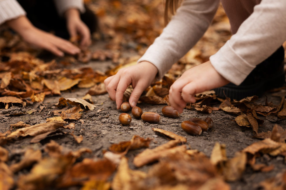 close-up-hands-collecting-chestnuts.jpg