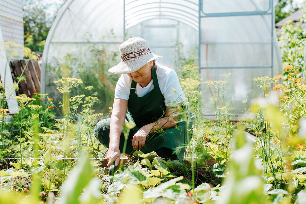 Home Page HERO IMAGE Carousel - Woman gardening.jpg