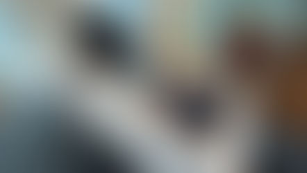 HP Goes Premium With The Elite Dragonfly Folio G3