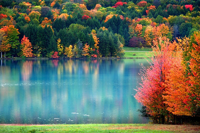 Fall colors small.jpeg