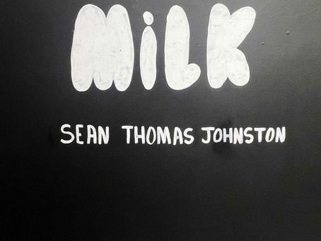 A Look at Four San Antonio Exhibitions