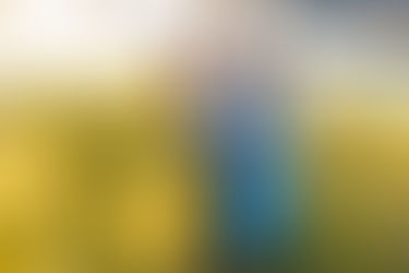 Experience the Magic of East Bay Area Mustard Flower Photo Sessions