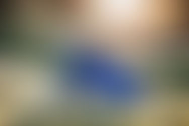 Maternity Session in Concord, CA | East Bay Maternity Photographer