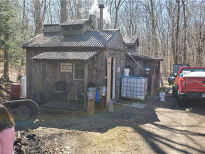 The Golden Age of Maple Syrup? In a "Very Dark" Year, the Smiles are Still Sweet.
