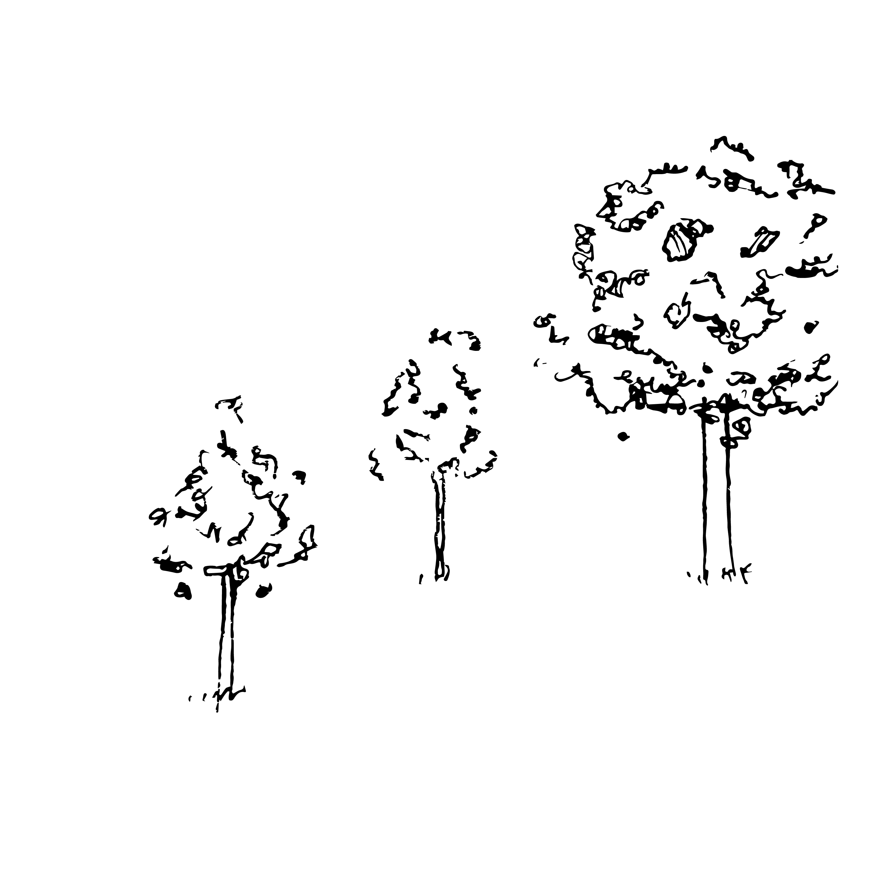 nature.gif