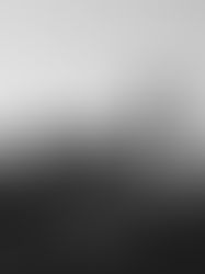 From Optimization to Orientation: The Quiet Revolution of Body Literacy