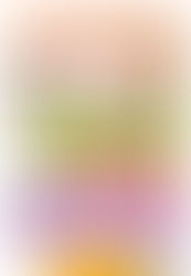 ミニカワサキ2021 オーナー募集スタート!!