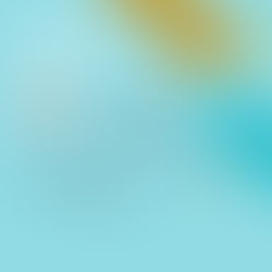 Thank You - 2 Giving Tuesday