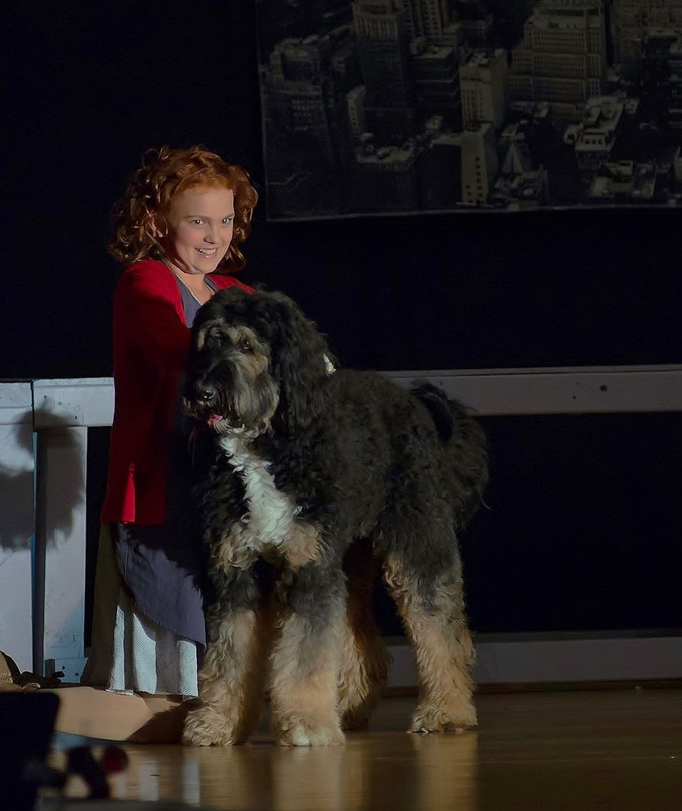 Sequel starring in Annie