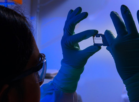 Should you major in public health?