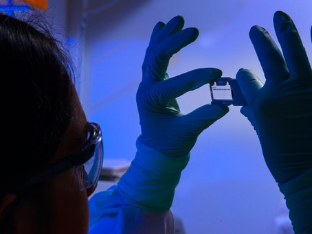 Should you major in public health?