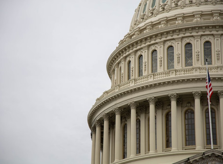 Should you major in political science?