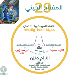 شرح وحكمة المفتاح الجيني29