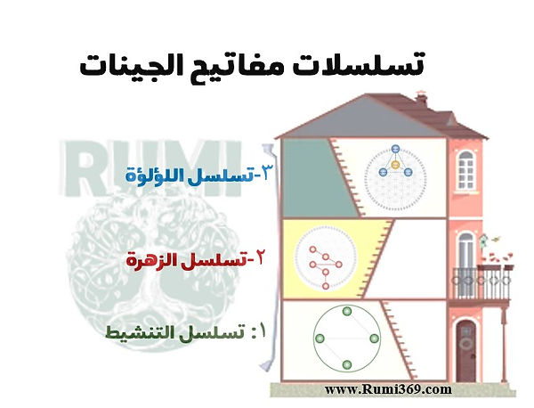 تسلسلات مفاتيح الجينات.jpg