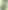 Draft.png