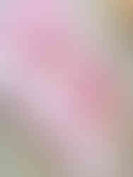 Texas Bites Bakery Valentine Cupcakes in Store