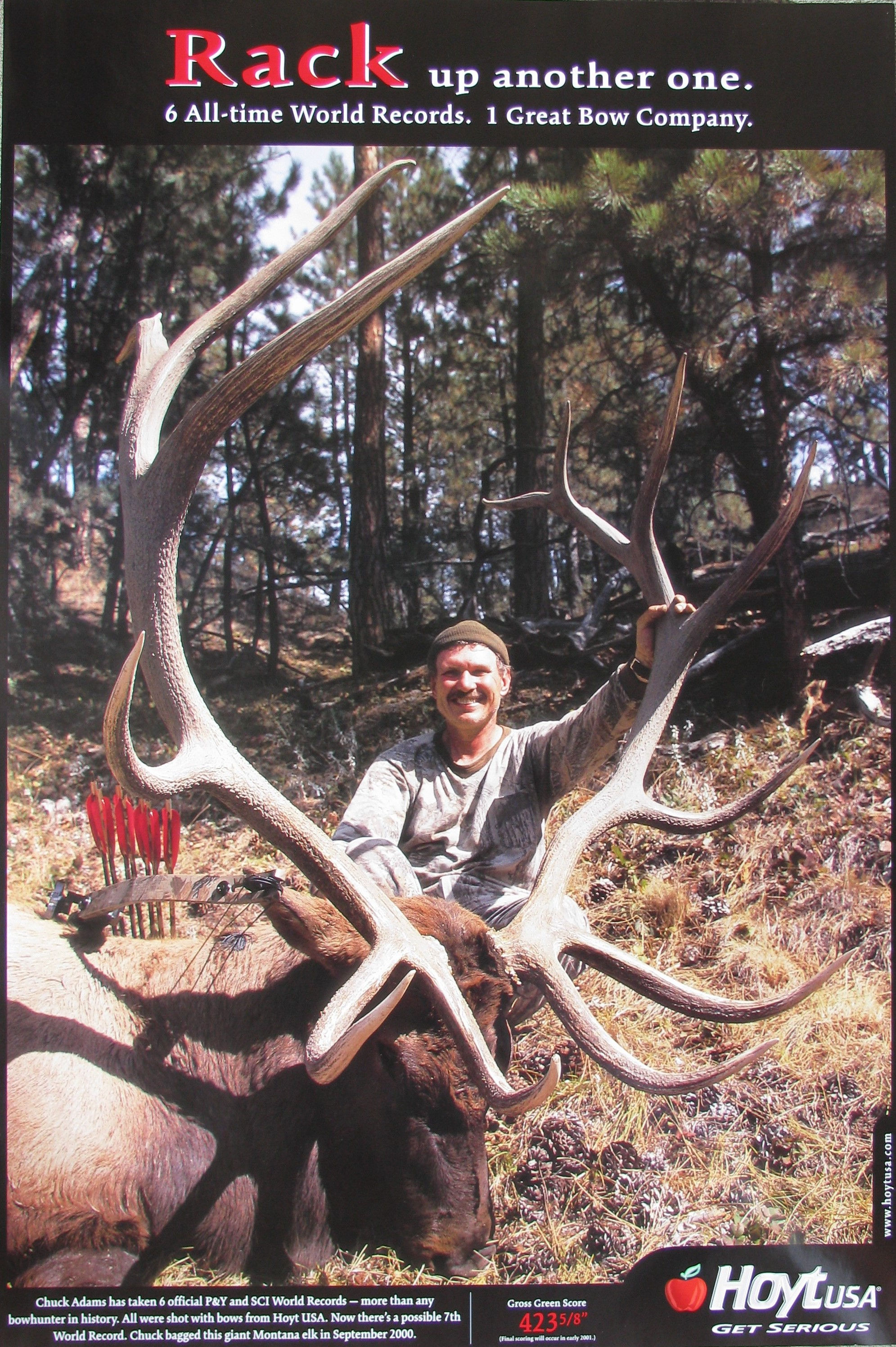 Vintage Hoyt World Record MT Elk Poster, 2000