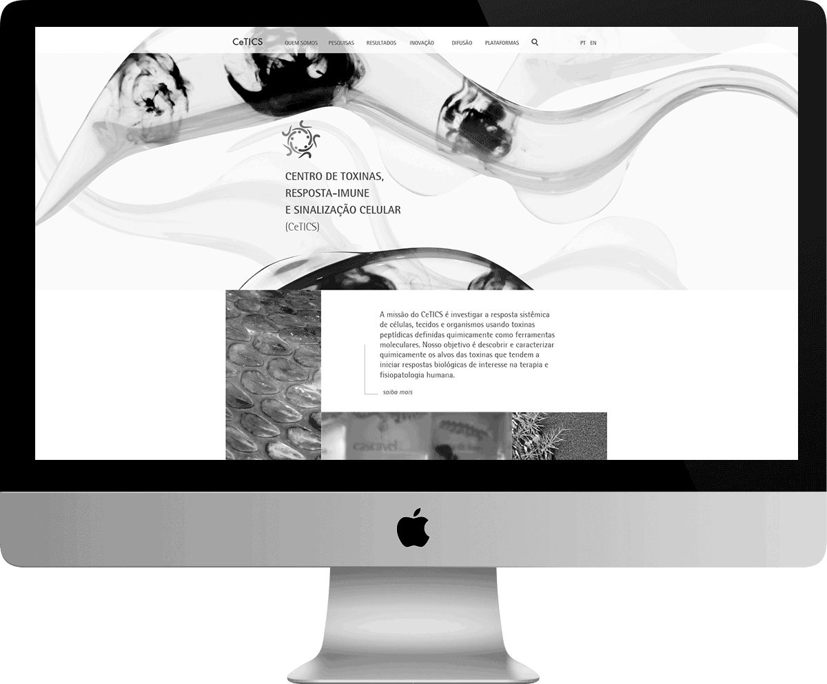 CETICS-SITE.gif