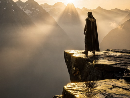 LEADERSHIP REFLEXIVITY AND FORESIGHT