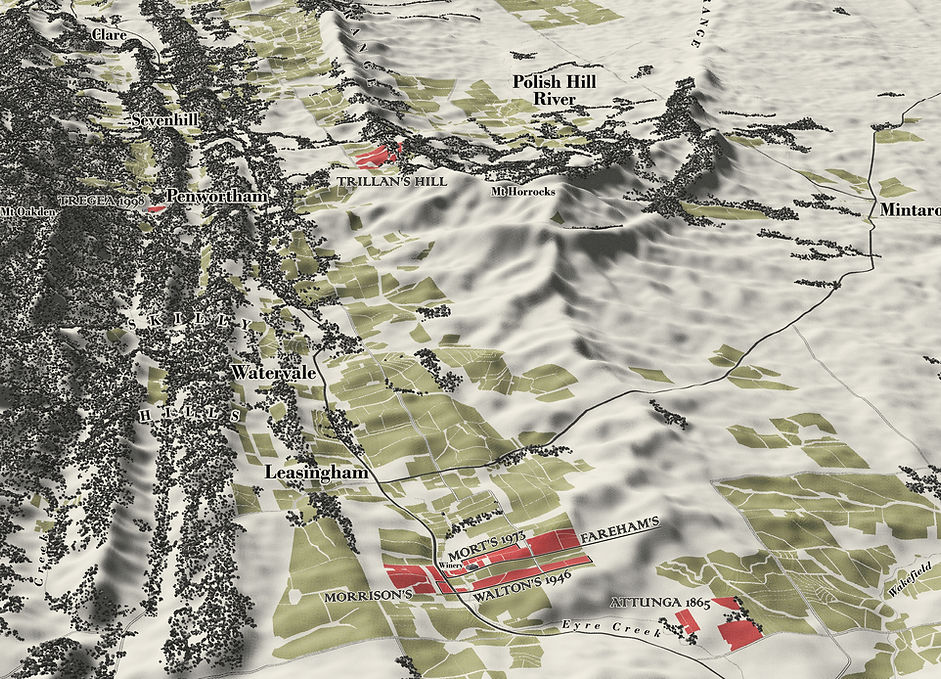 Kilikanoon_Clare Valley Crop.jpg