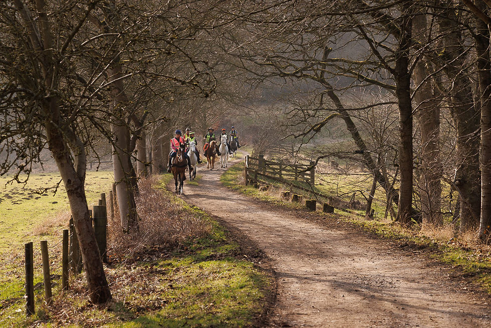 Horse rider pilgrims heading for Bow Bridge and Rievaulx.