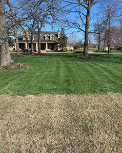NWA Turf Pro Yard