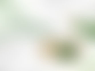 an emerald ring and tsavorite earrings