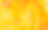 yellow background.jpg