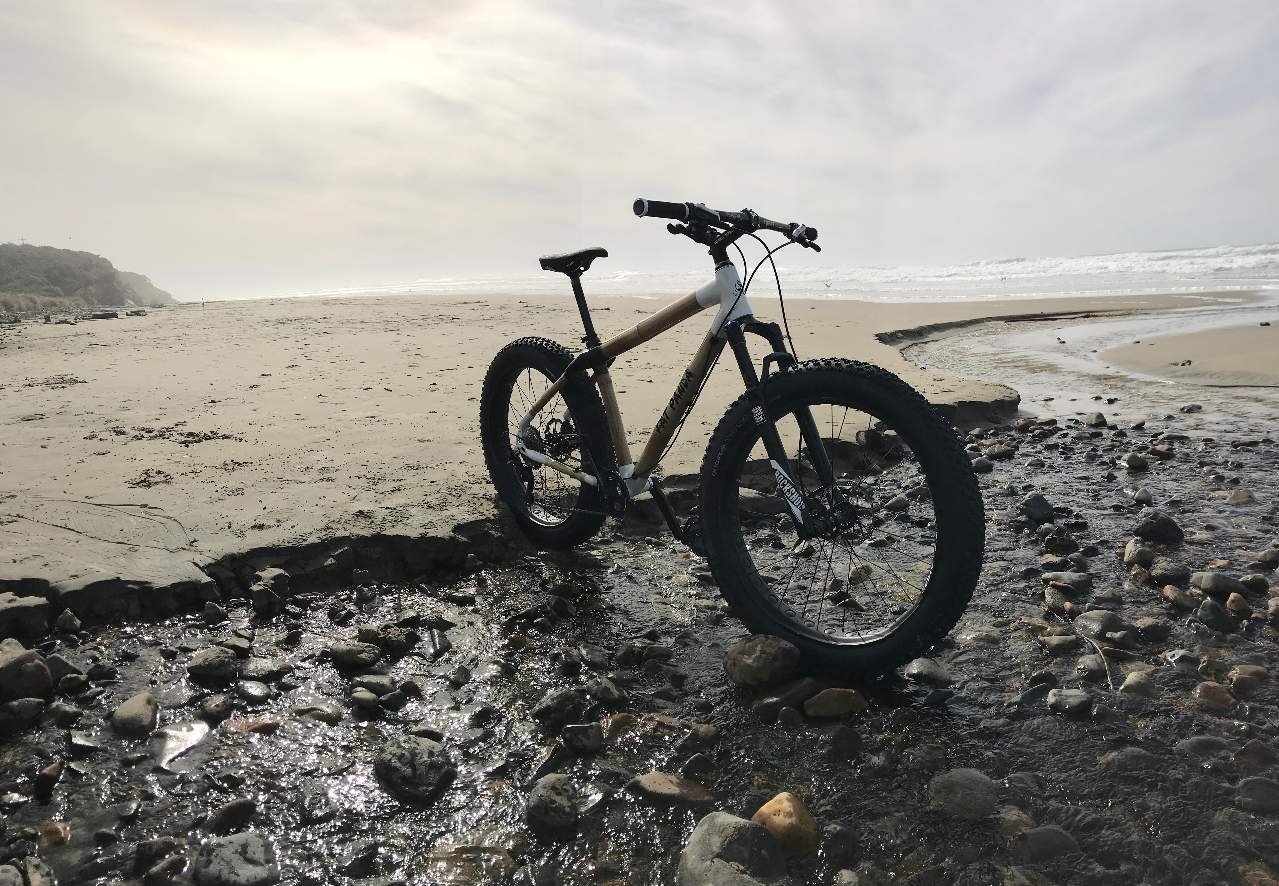 bamboo fat bike