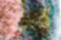rr05.jpg