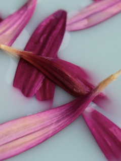 My 2021 Creative Intentions: Slowing Down, Leveling Up, and Designing Serene