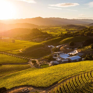 Shafer Vineyards | Quebec