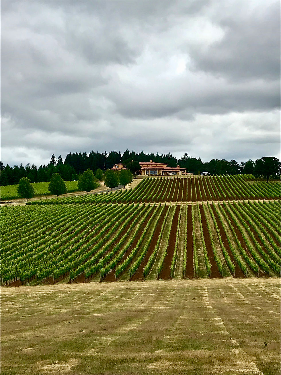 Top Oregon wineries to visit for first timers
