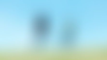 運動と睡眠の関係に注目！