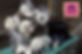 64657_10151175558404779_967989832_n.jpg