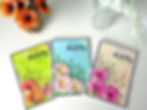 three cards laid out on desk in fan style, cosmos flowers in different colours with green, blue or peach background