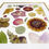 Thumbnail: Modern Matted Frame