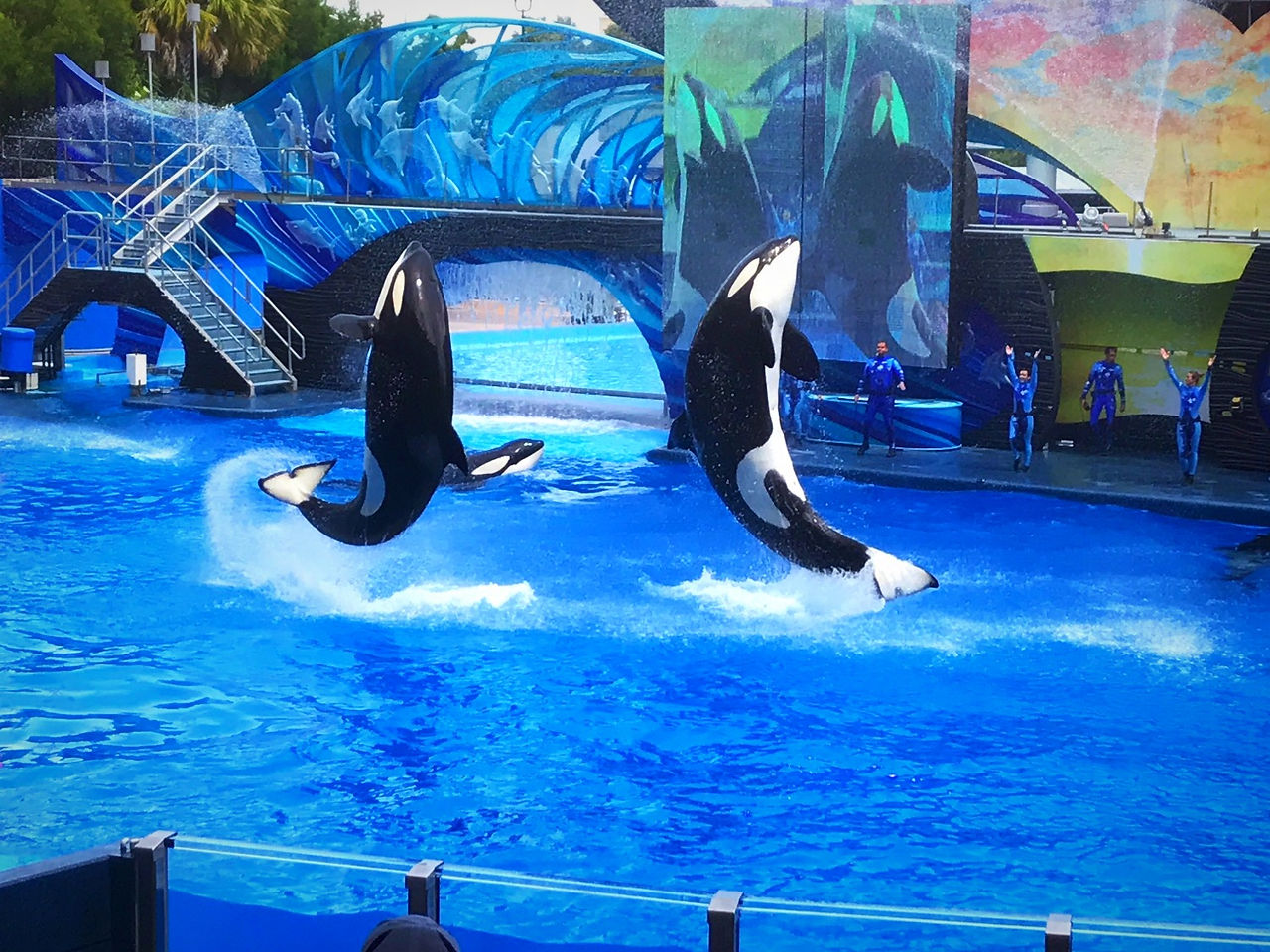 Big Splash