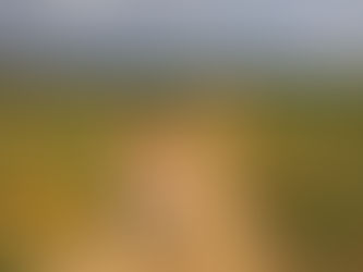 My biggest lesson so far!