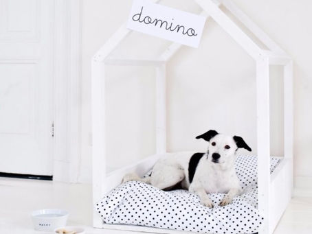 My Favorite DIY Dog Beds