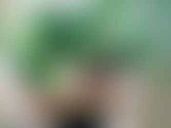 訪問