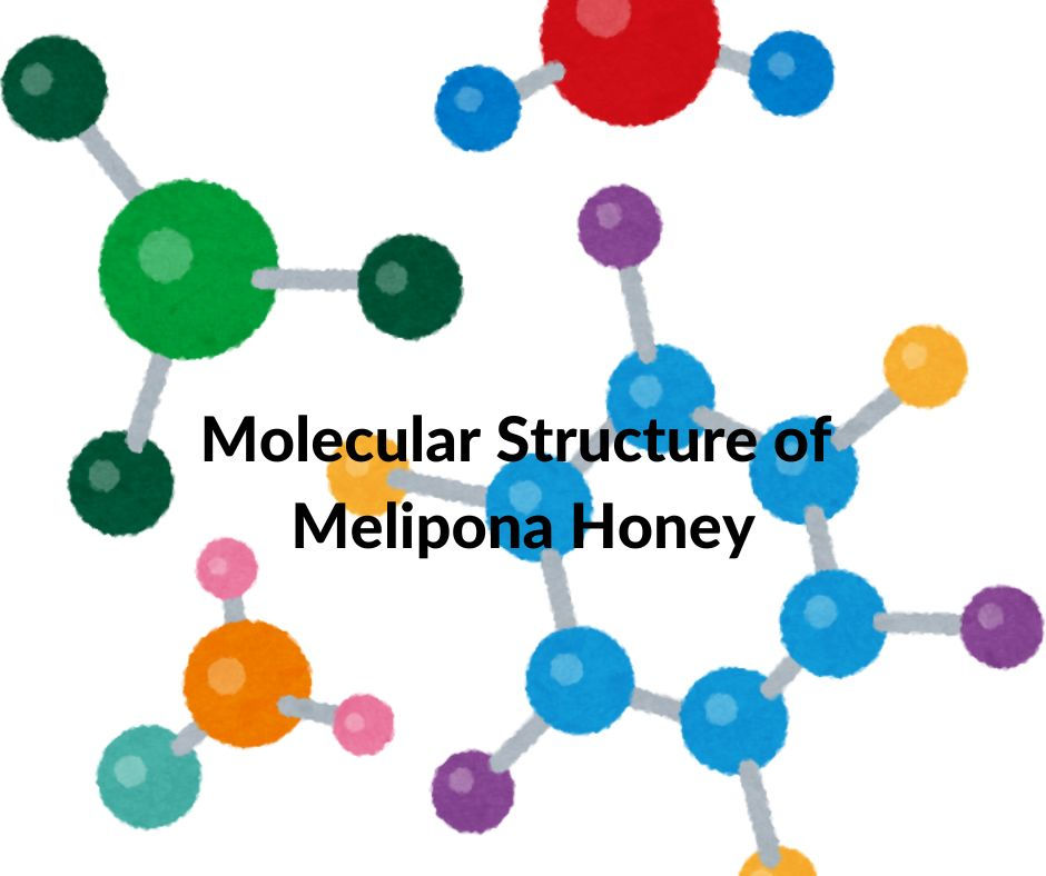 Molecular Structure of Melipona Honey