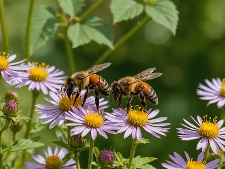 Unveiling the Secret Garden: How the Right Plantings at Torunes Farms Fuel the Mystical Power of Melipona Bees